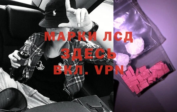 ПСИЛОЦИБИНОВЫЕ ГРИБЫ Алексин