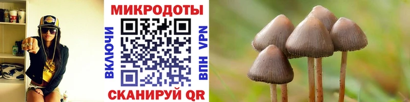 ОМГ ОМГ ТОР  Данков  Псилоцибиновые грибы ЛСД 